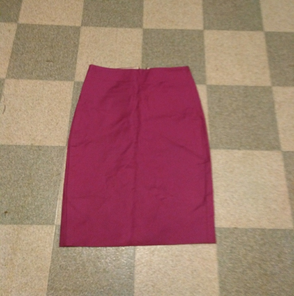 JCrew Skirt